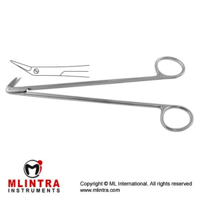Diethrich-Potts Vascular Scissor Angled 25° - Ultra Delicate Blade Stainless Steel, 18 cm - 7" Diethrich-Potts Vascular Scissor Angled 25° - Ultra Delicate Blade Stainless Steel, 18 cm - 7"